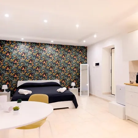 Logico 56 * בארי